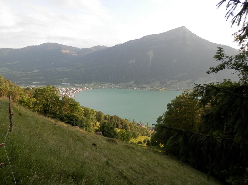 Goldau - Rigi - Zugersee