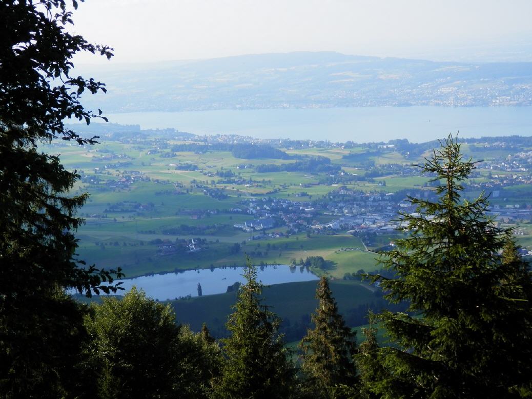 Zürichsee - Hüttnerseeli