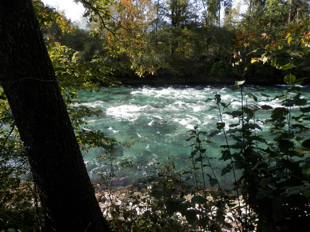 Aare