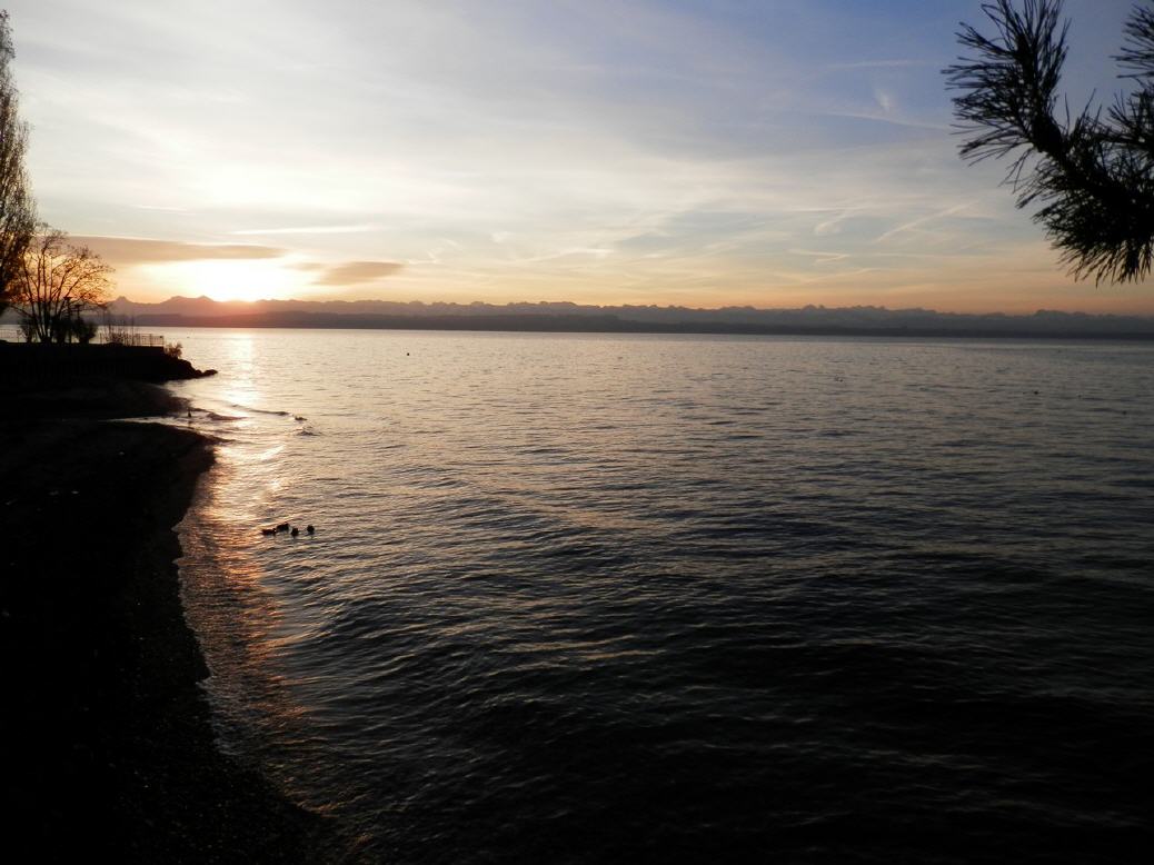 Neuenburgersee