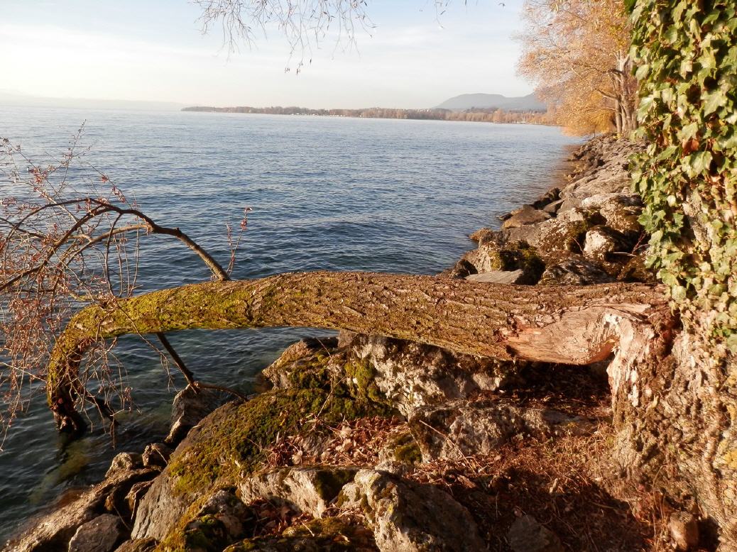 Neuenburgersee