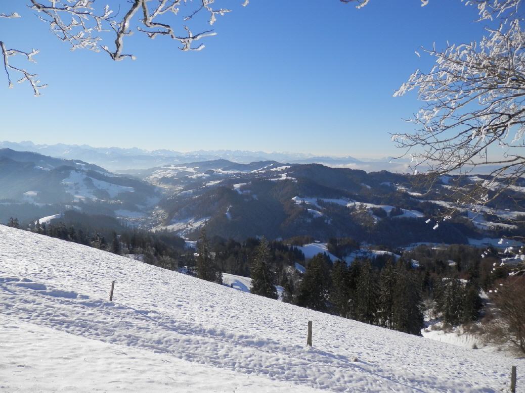 Blick Richtung Süden vom Hörnli